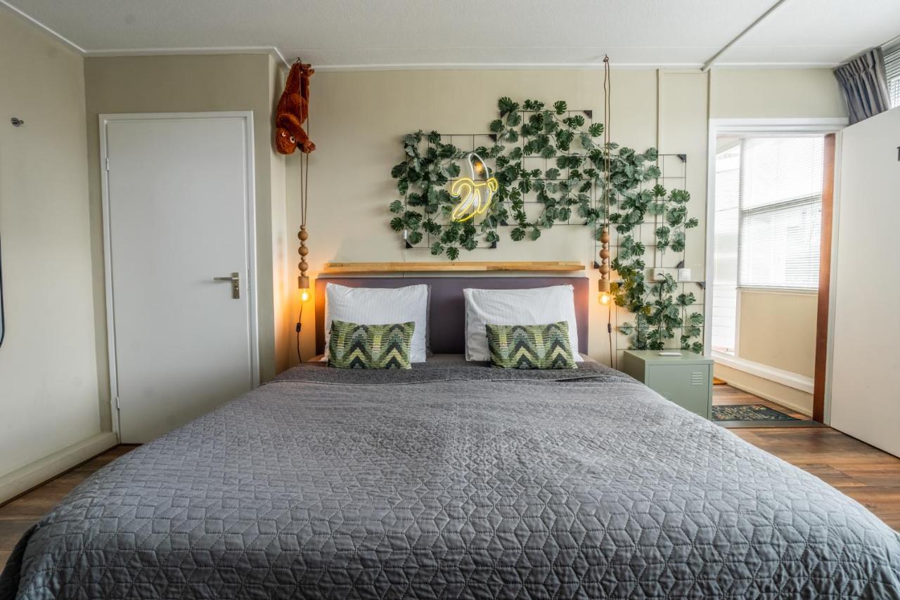 The Jungle - Duo With Kingsize Terrace